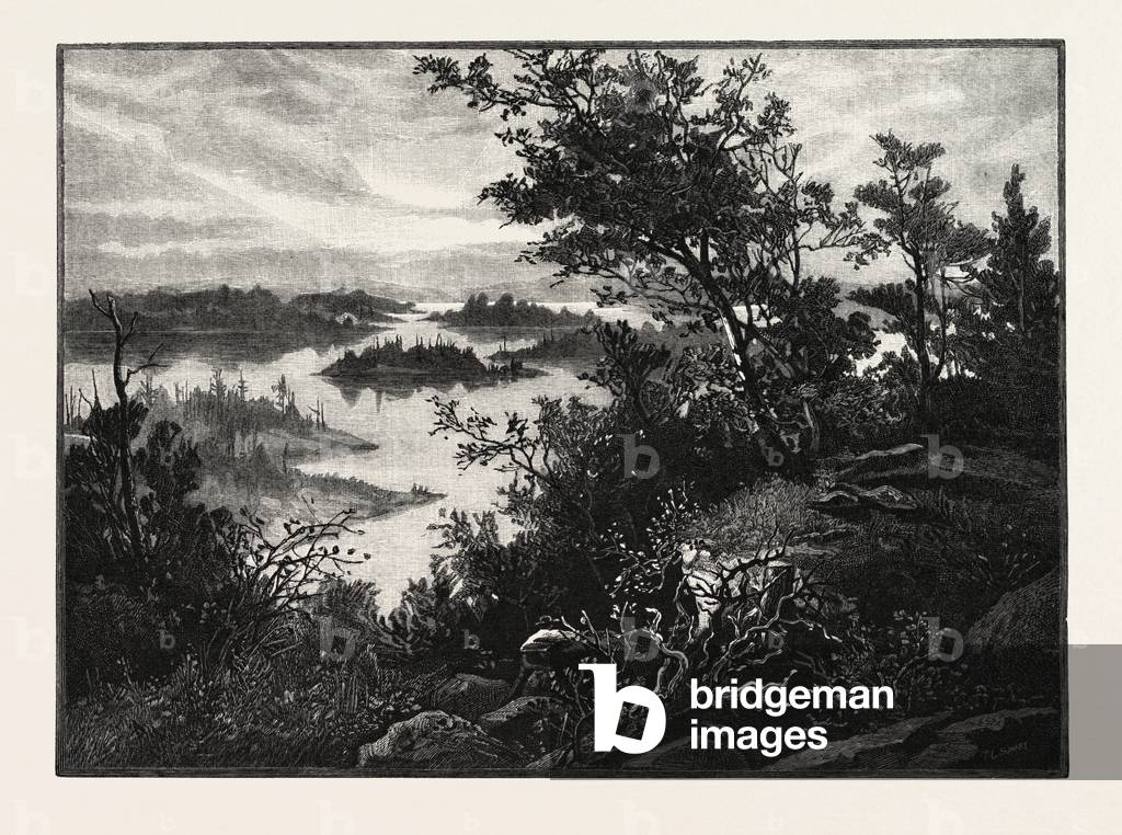Stony Lake, Near Peterborough, Canada, Nineteenth Century Engraving