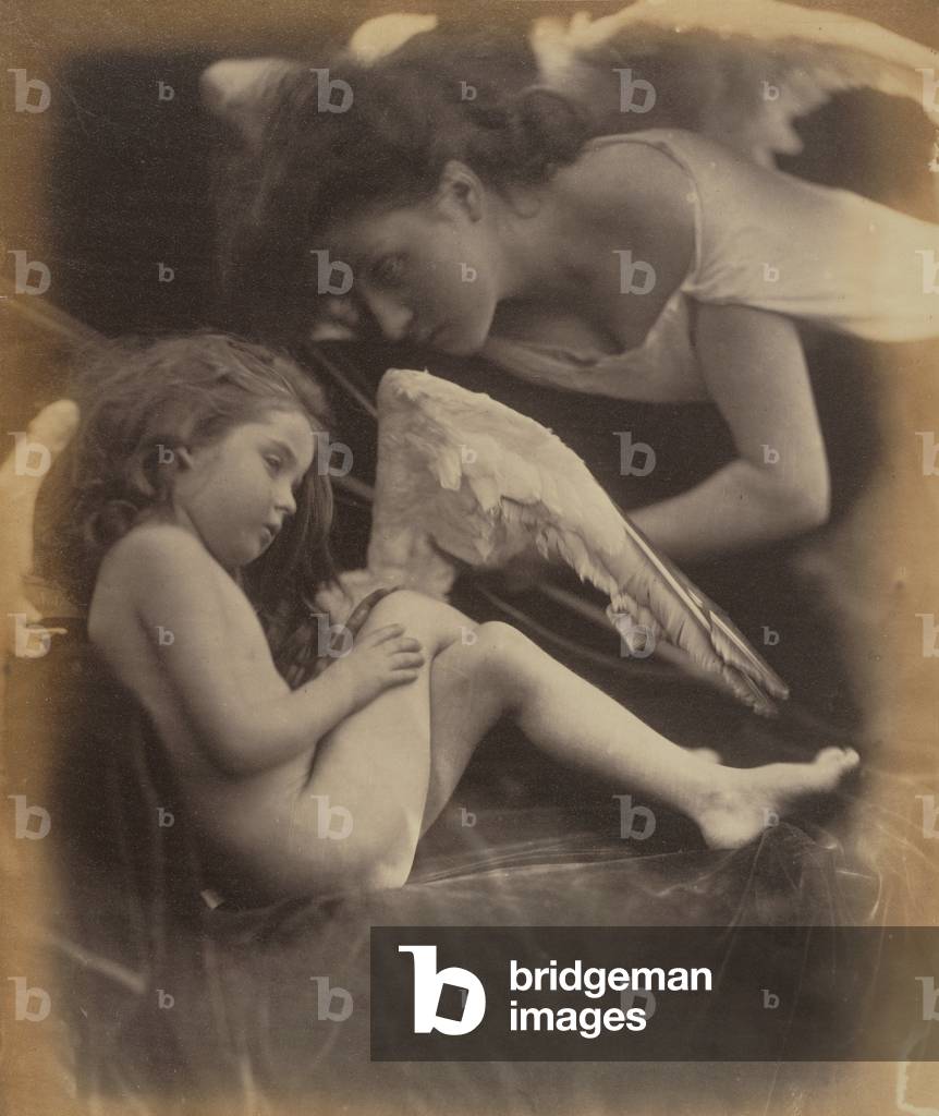 Venus Chiding Cupid and Removing His Wings; Julia Margaret Cameron, British, born India, 1815 - 1879; Freshwater, England, Europe; 1872; Albumen silver print; Image: 32.4 x 27.3 cm (12 3/4 x 10 3/4 in.) -
