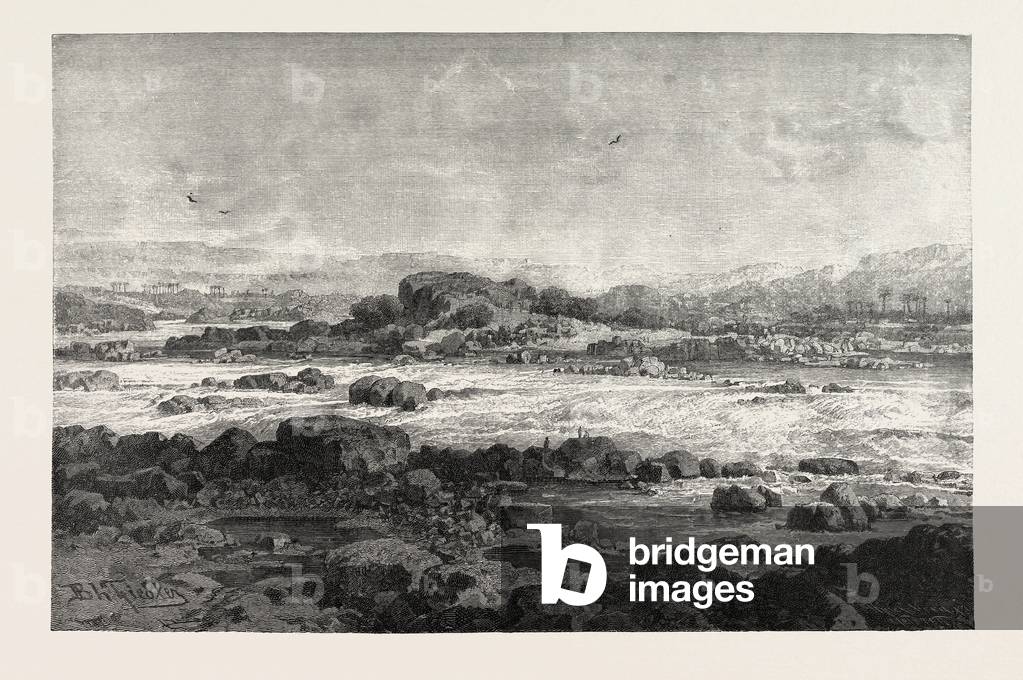 Cataract. Egypt, Engraving 1879
