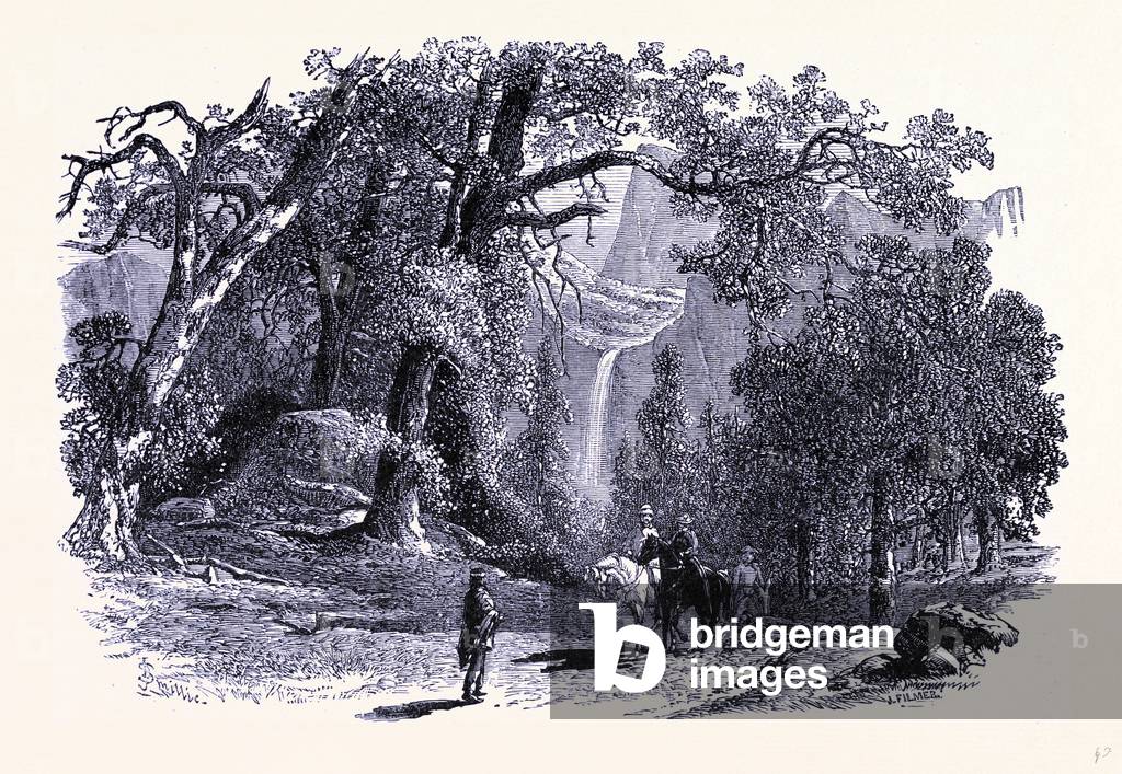 Bridal Veil Falls United States of America