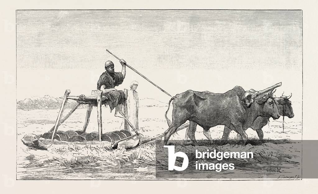 Threshing-Sled. Egypt, Engraving 1879