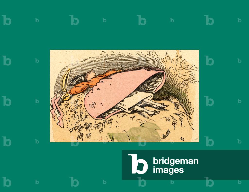 Schnaken and Schnurren, 1866, Mosquitoes and Purring. A Humorous Story in Pictures from the Writer and Illustrator of Max Und Moritz, Munchener Bilderbogen and Fliegende Blatter. Children's Literature from the 19th Century, Comic Illustrated Cautionary Tales