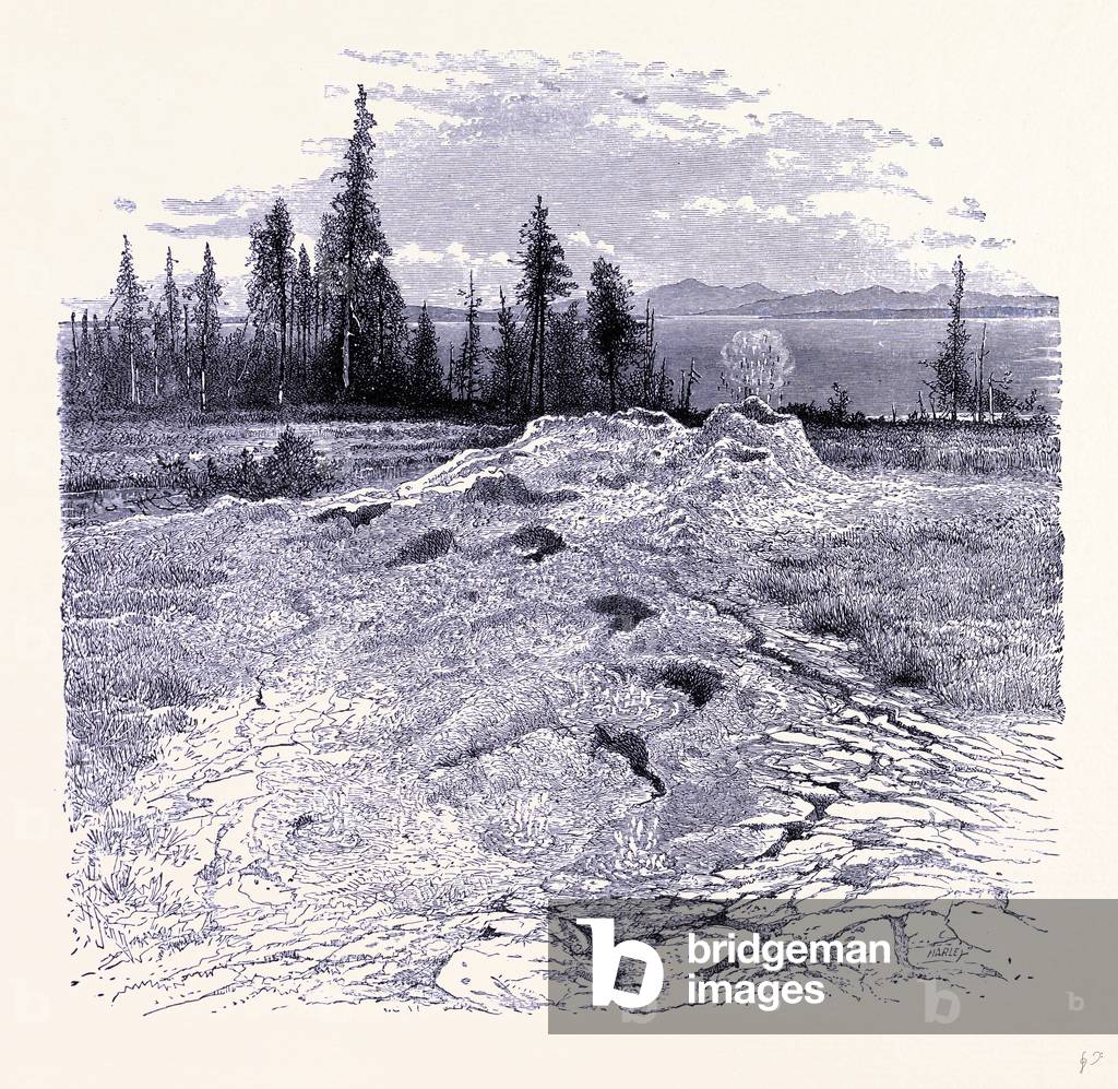 A Spring United States of America