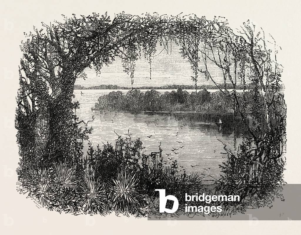A Vista in South Carolina,USA, 1870s Engraving
