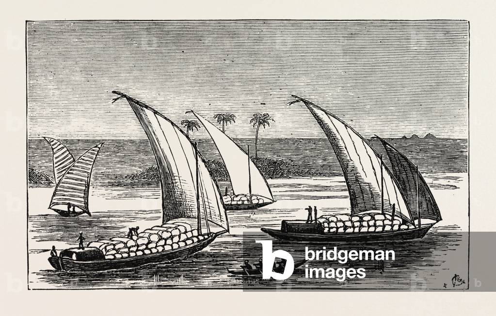 Cotton on Its Way Down the Nile, Egypt, 1873 Engraving