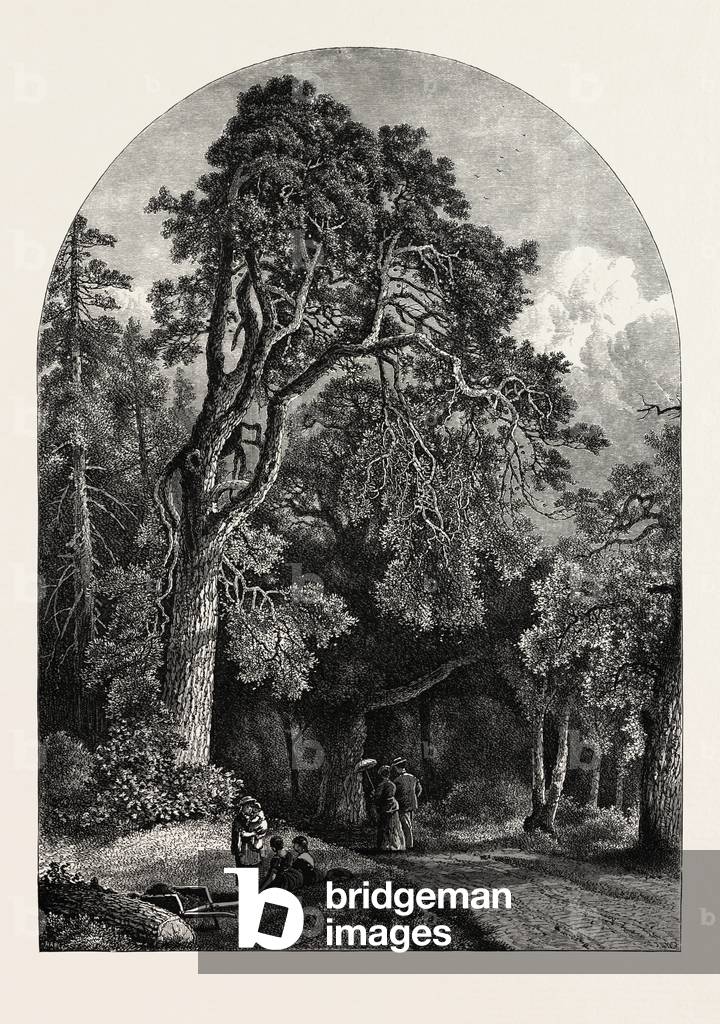 The Deer Garden, Stockholm, Sweden, 19th Century Engraving