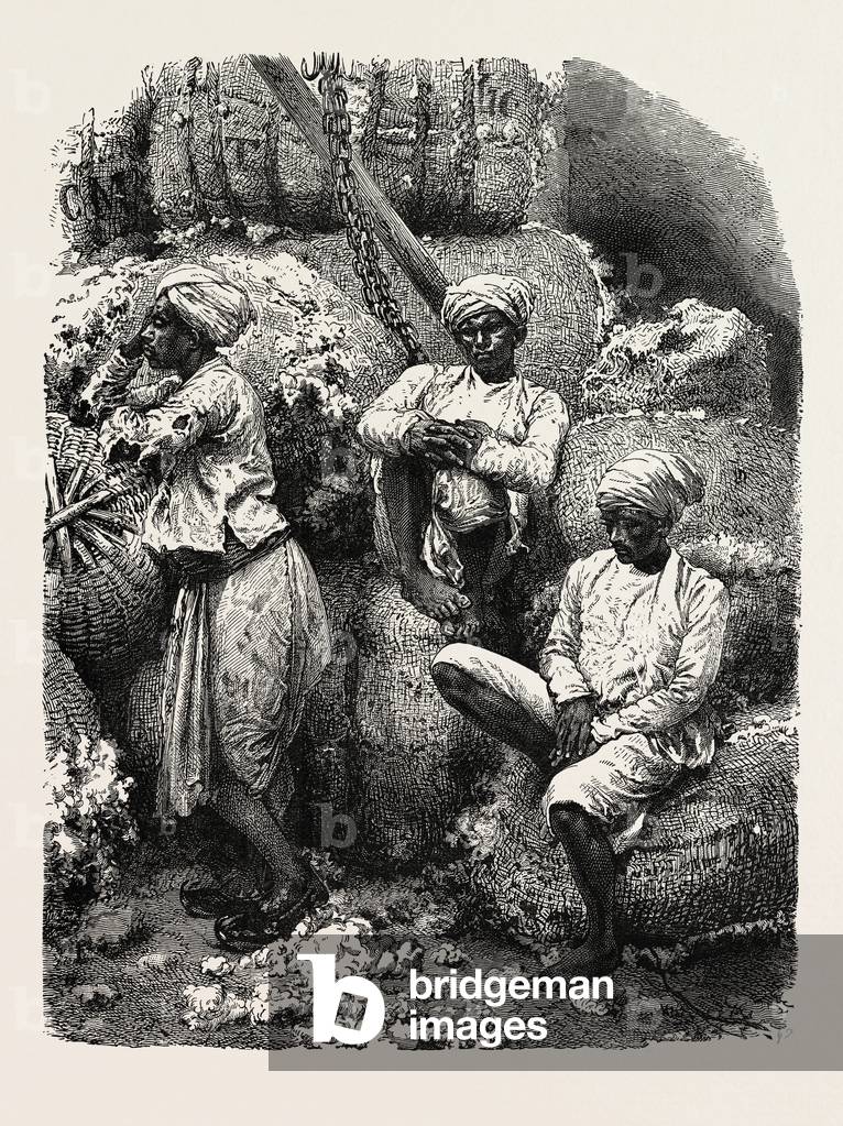 Indian Cotton Operatives