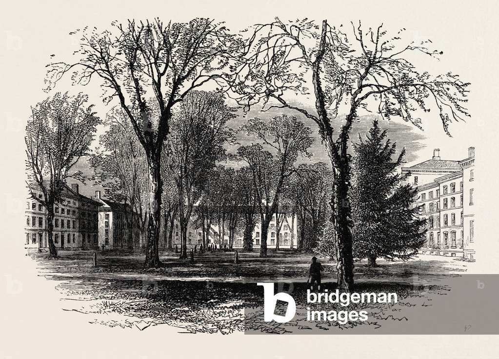 The Quadrangle, Harvard College, Cambridge, Massachusetts,USA, 1870s Engraving