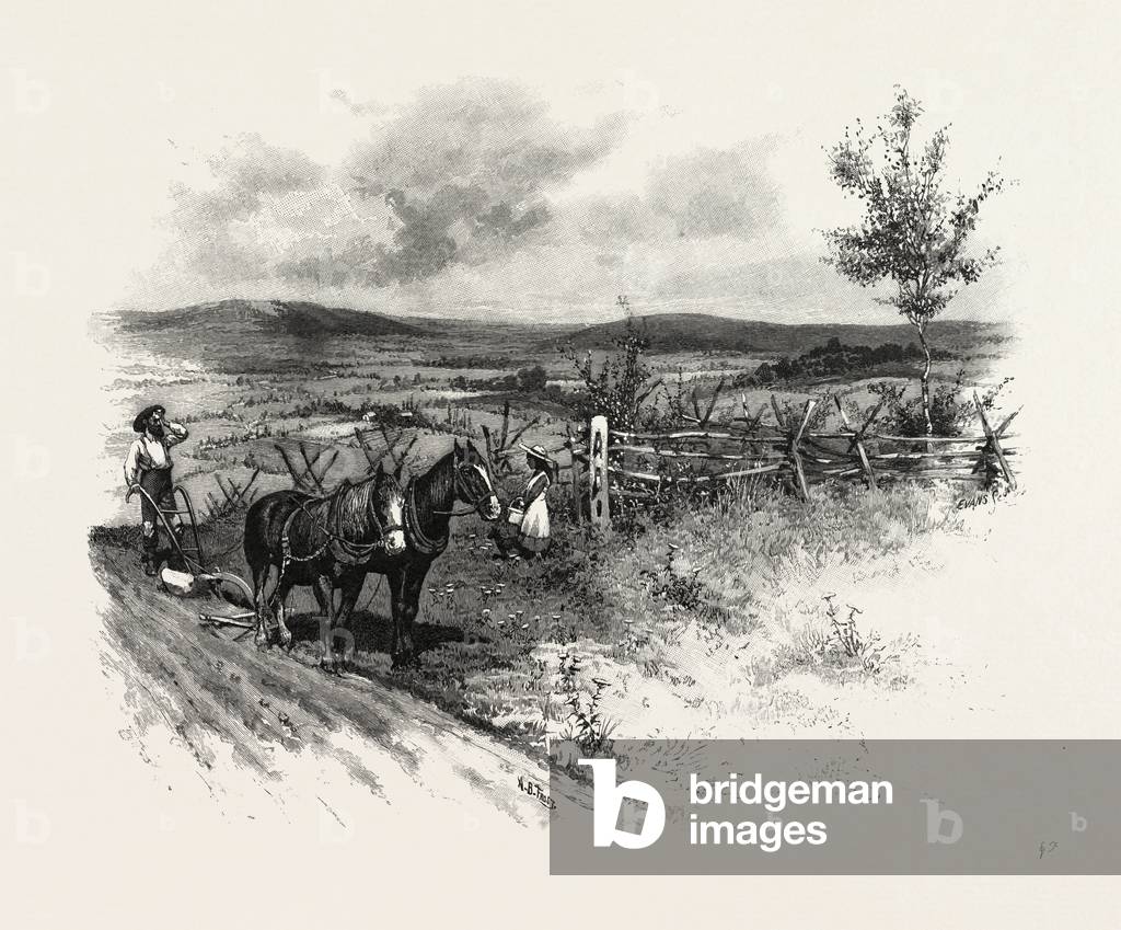 From Toronto, Westward, Canada, Nineteenth Century Engraving