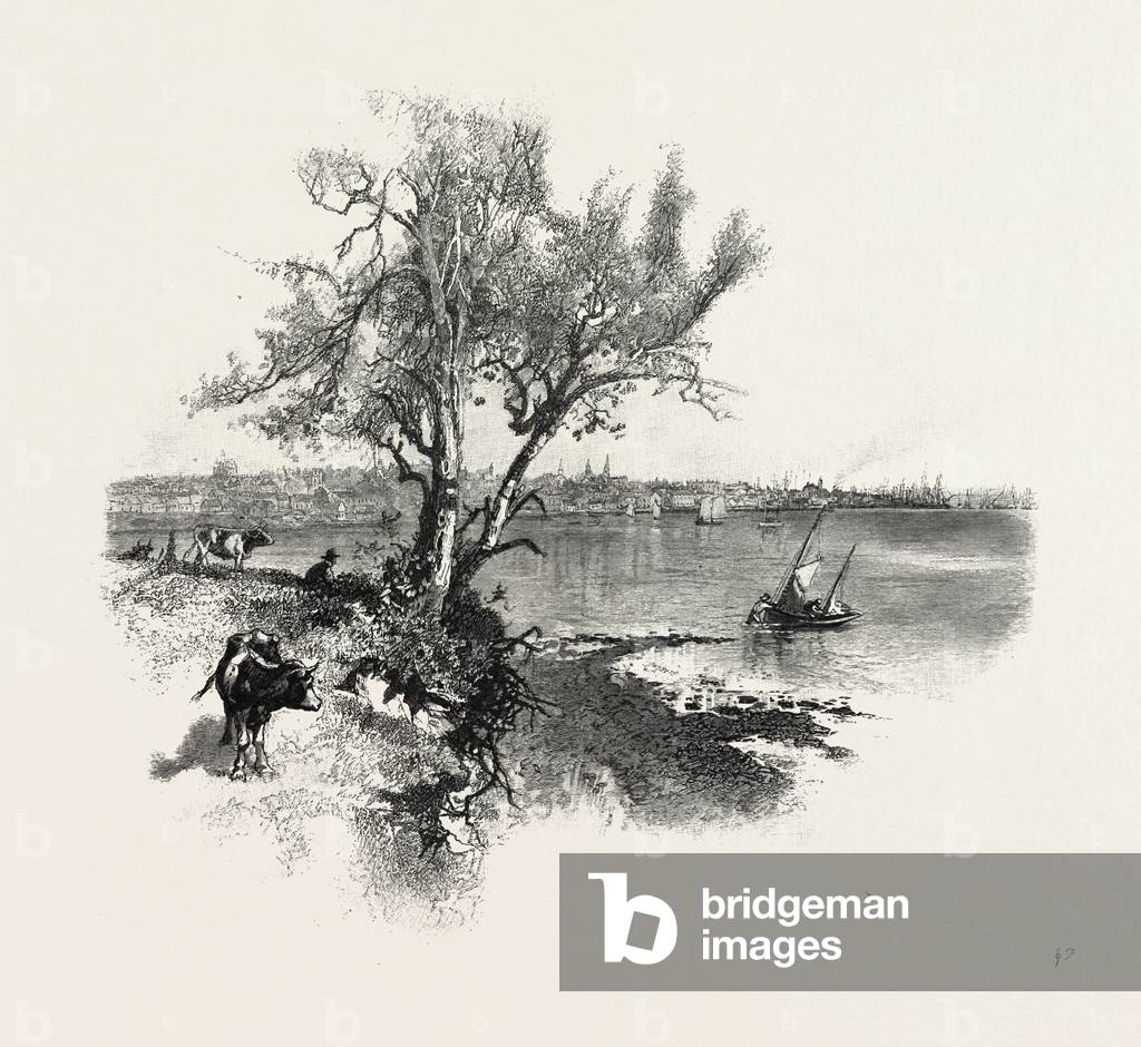 Nova Scotia, Pictou, Canada, Nineteenth Century Engraving