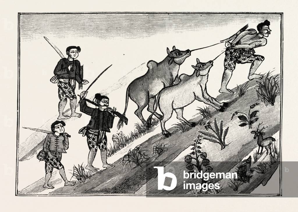 Life of a Burmese Dacoit, But on Reaching Man's Estate Joins a Band of Dacoits and Cattle Lifters, Engraving 1890