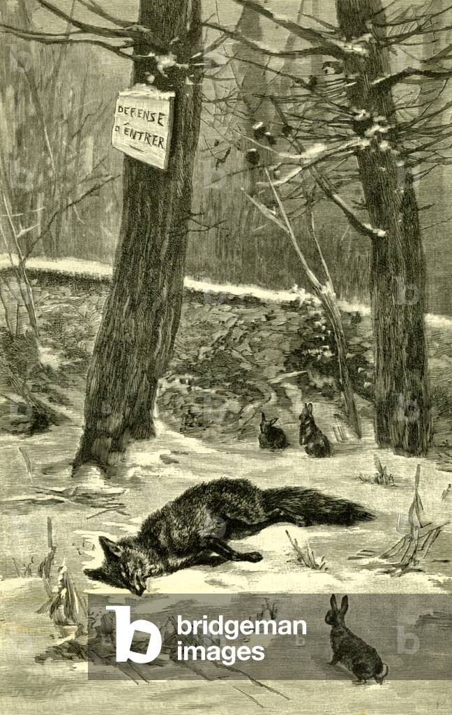 Hunting Fox Austria 1891