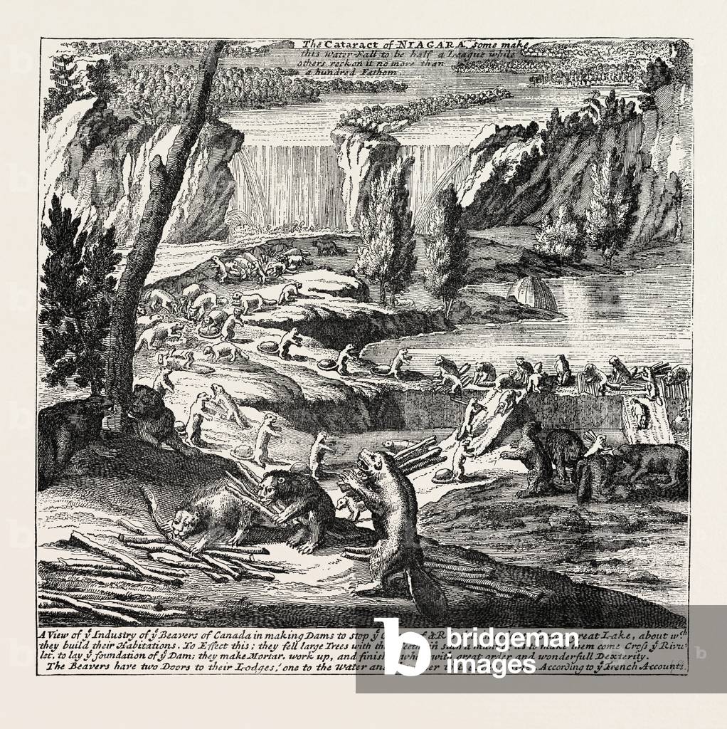Niagara and the Beaver Dams. From Moll's New and Exact Map, 1715. North America, US, USA, 1870s Engraving