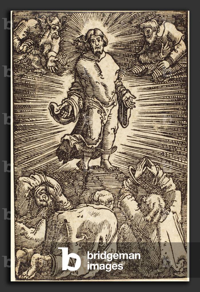 "La trasfigurazione - Albrecht Altdorfer (tedesco"