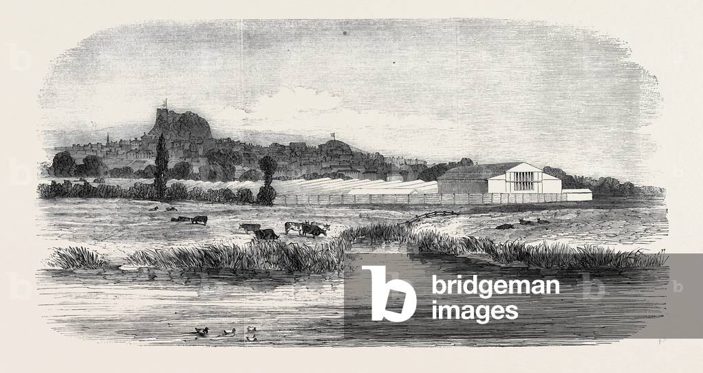 The Royal Agricultural Society of England, Meeting at Lewes: The Cattle Show, from the River, 1852