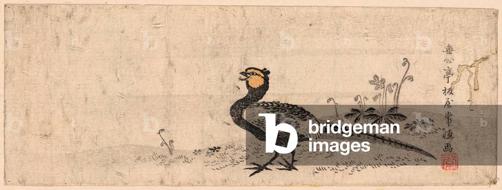 Kiji, Pheasant. Print Shows a Pheasant Facing Left.