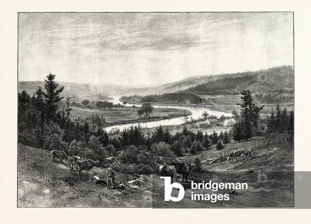Junction of the Nashwaak and Tay, Canada, Nineteenth Century Engraving