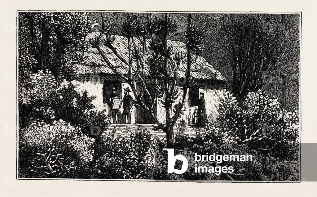 A Cottage in the Bush, Cape Colony, South Africa