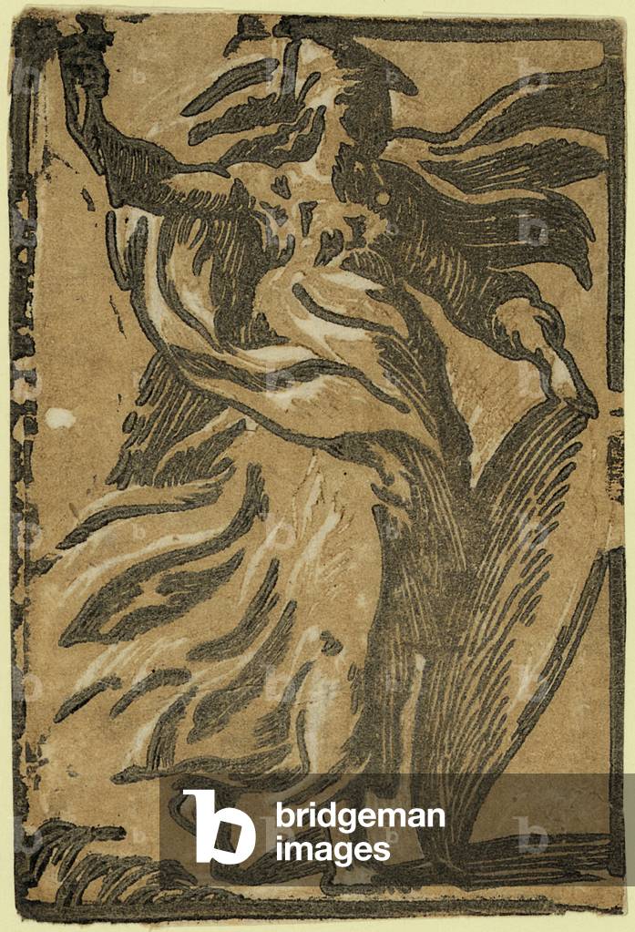 Pallas, Between 1530 and 1550