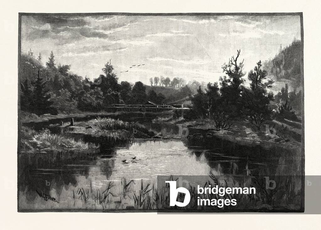Credit River, Canada, Nineteenth Century Engraving