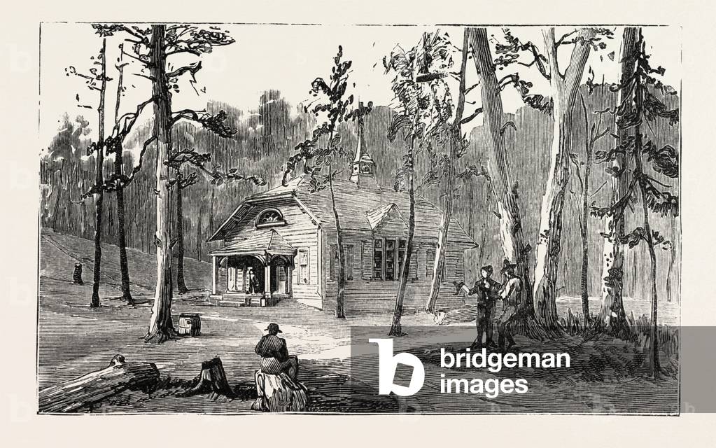 The Hughes Public Library, Thomas Hughes Settlement New Rugby Tennesee, Engraving 1884, US, USA, America, United States