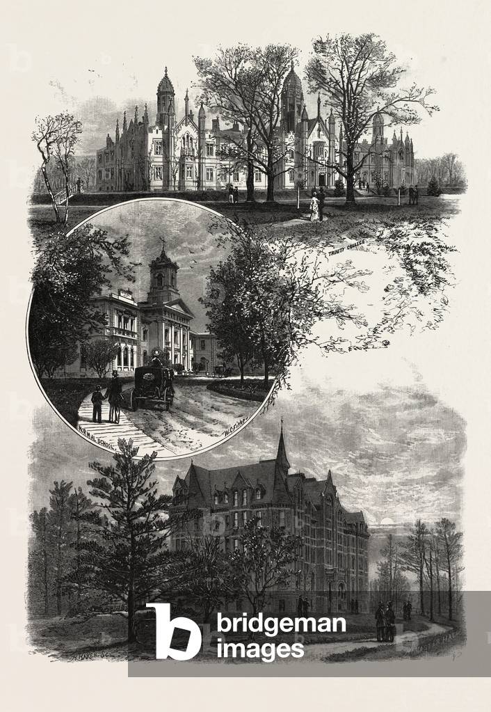 Toronto and Vicinity, Educational Institutions, Canada, Nineteenth Century Engraving