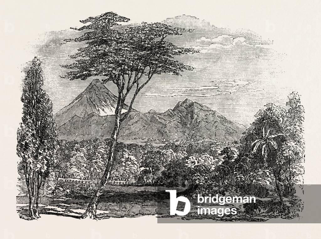 View in Crofton Park, New Zealand, 1851 Engraving