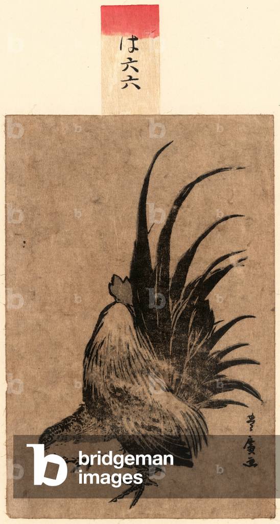 Niwatori, Chicken. [Between 1804 and 1818], 1 Print : Woodcut, Color ; 17.2 X 11.4 .