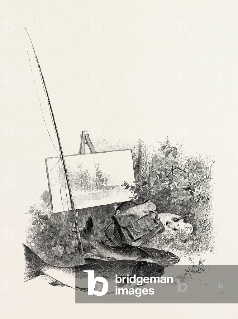 Art And Nature, Canada, Nineteenth Century Engraving