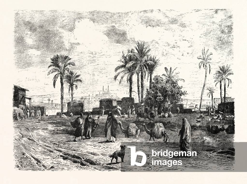 Cairo; From the Left Bank of the Nile. Egypt, Engraving 1879