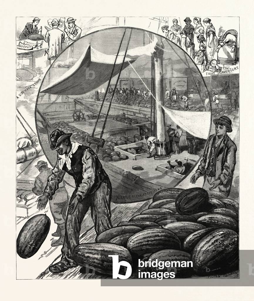 New York: Incidents of the Watermelon Trade in the Metropolis, U.S., Engraving 1880 1881