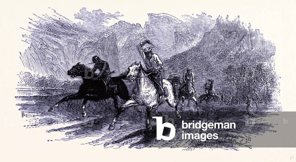 A Horse Race United States of America