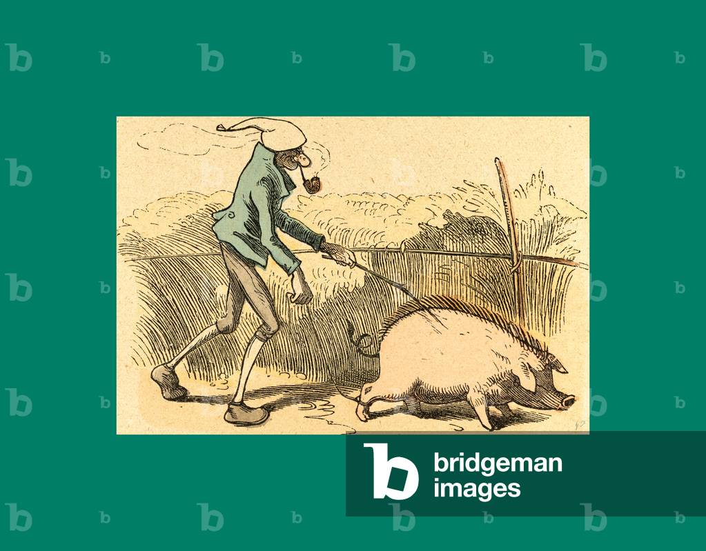 Schnaken and Schnurren, 1866, Mosquitoes and Purring. A Humorous Story in Pictures from the Writer and Illustrator of Max Und Moritz, Munchener Bilderbogen and Fliegende Blatter. Children's Literature from the 19th Century, Comic Illustrated Cautionary Tales