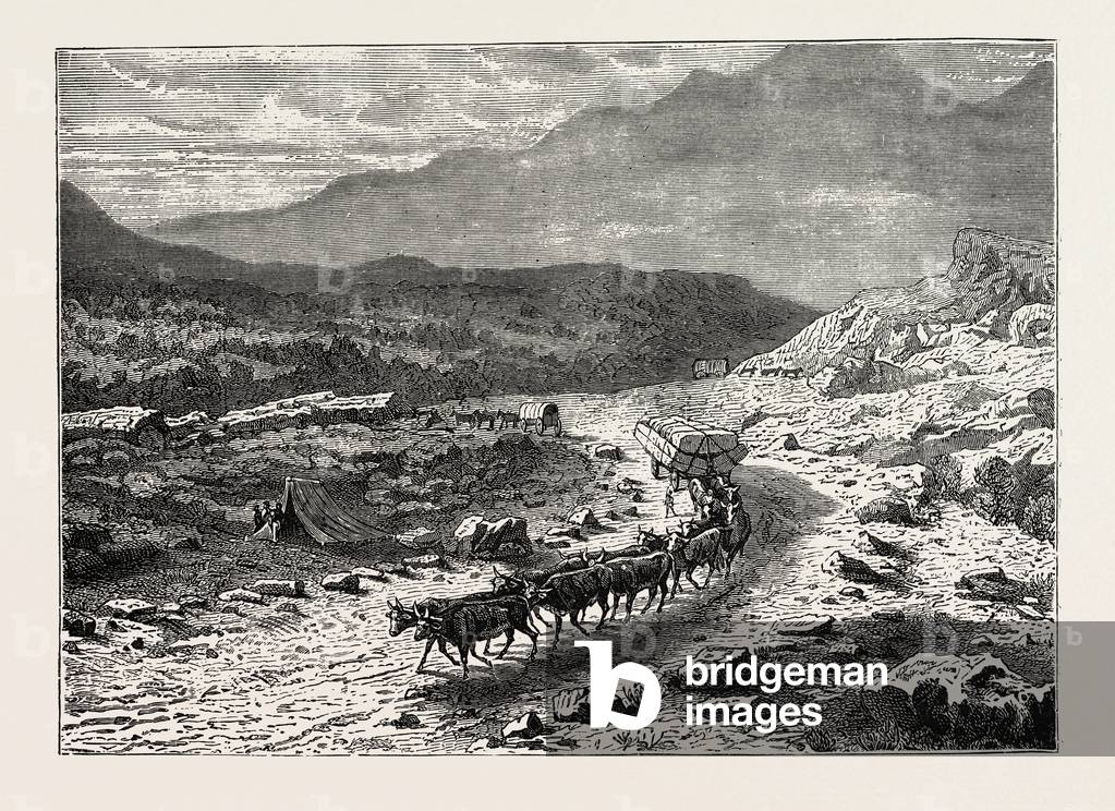 A Bullock Waggon on its Way to the Diamond Fields, South Africa