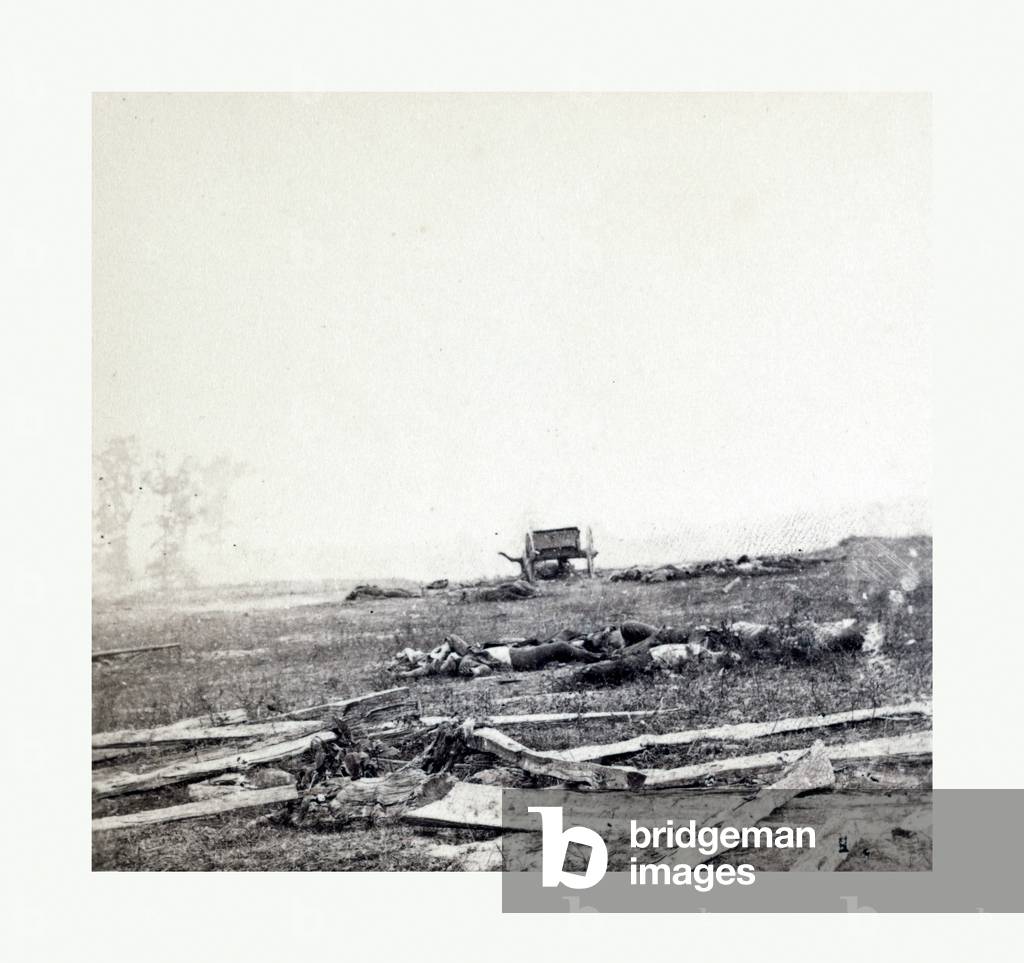 American Civil War: Where Sumner's Corps Charged at Antietam, Dead Soldiers, Horses, and Broken Gun Carriages after General Sumner's Corps Charged Over This Field on the Battlefied of Antietam on Sept. 17, 1862. Photo, Albumen Print