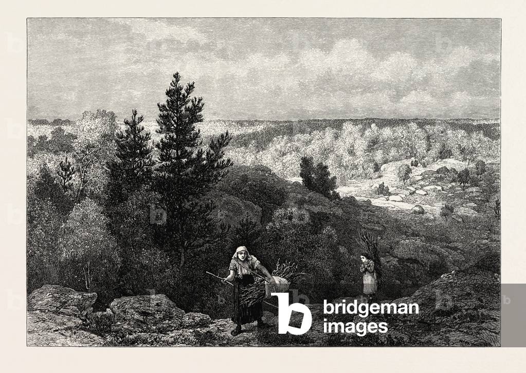 Gorge Franchard, Forest of Fontainebleau, France, 19th Century Engraving
