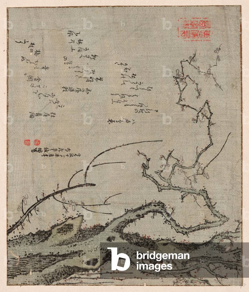 Baiju, Plum Tree. 1799., 1 Print : Woodcut, Color ; 17 X 20.1 ., Print Shows Blossoms on a Plum Tree.