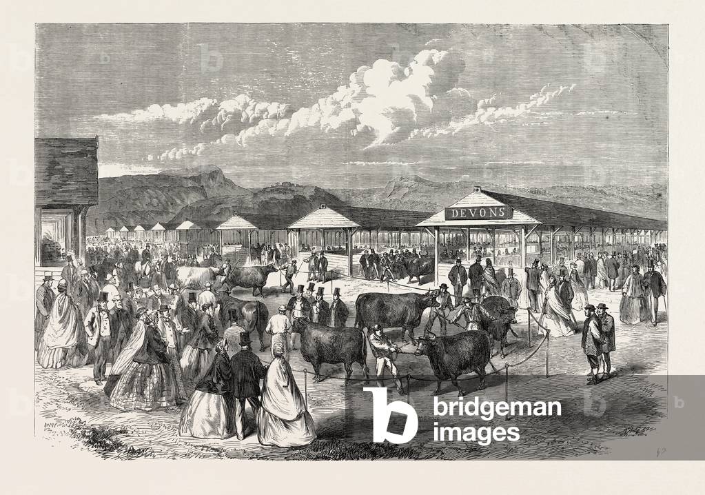 Judging the Cattle at the Plymouth Agricultural Show, UK, 1865