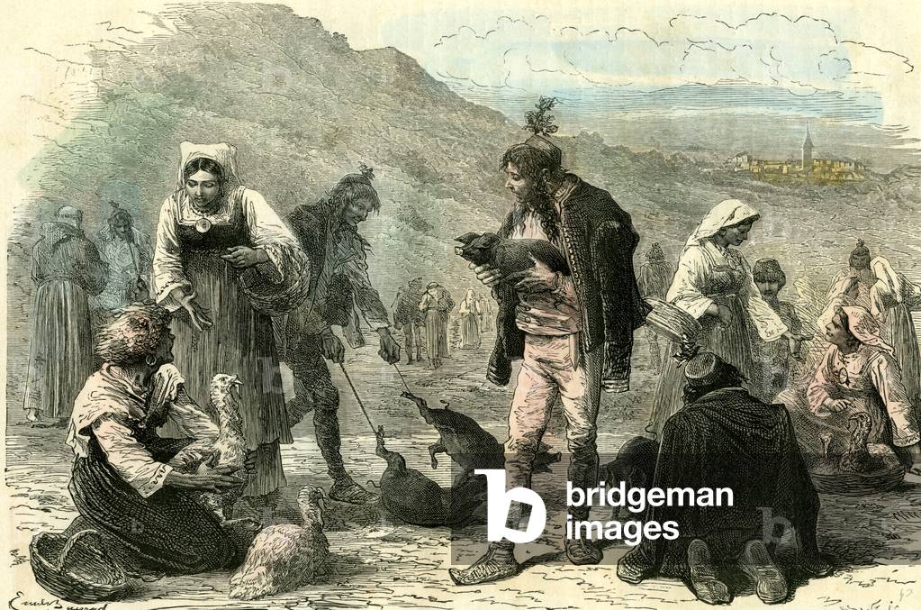 Pisino Italy 19th Century