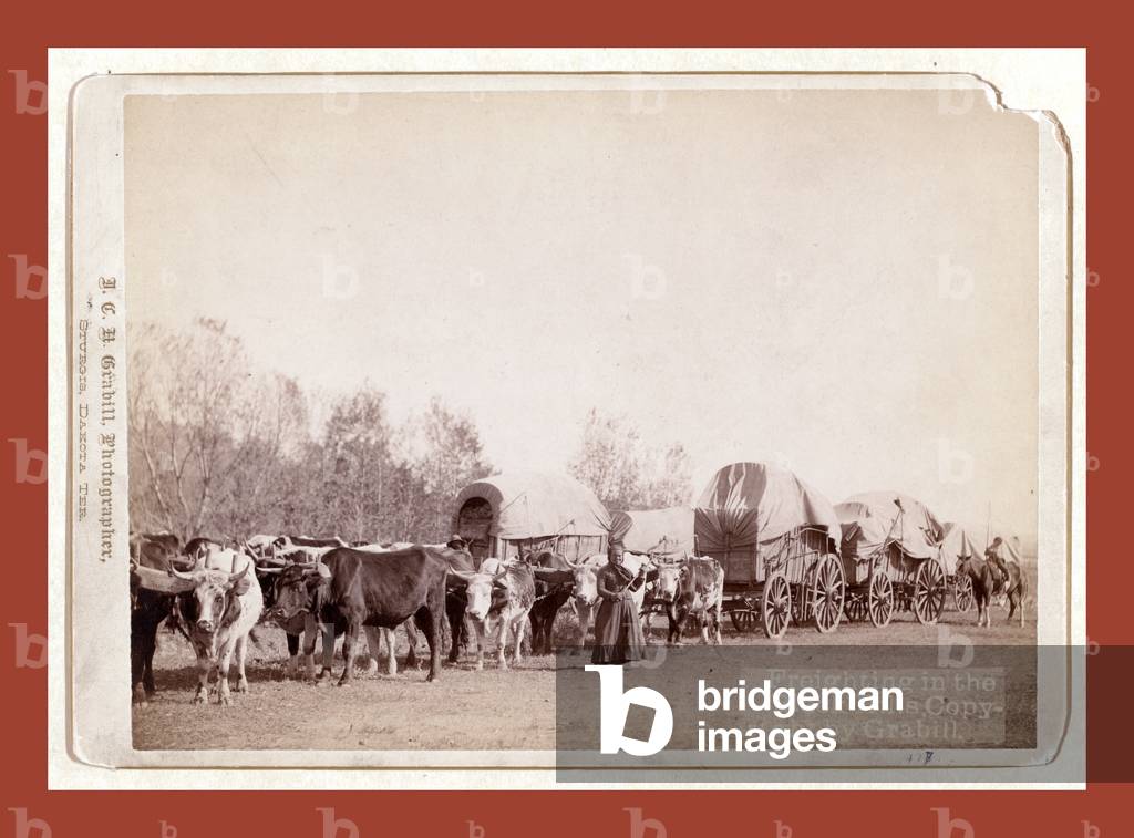 Freighting in the Black Hills