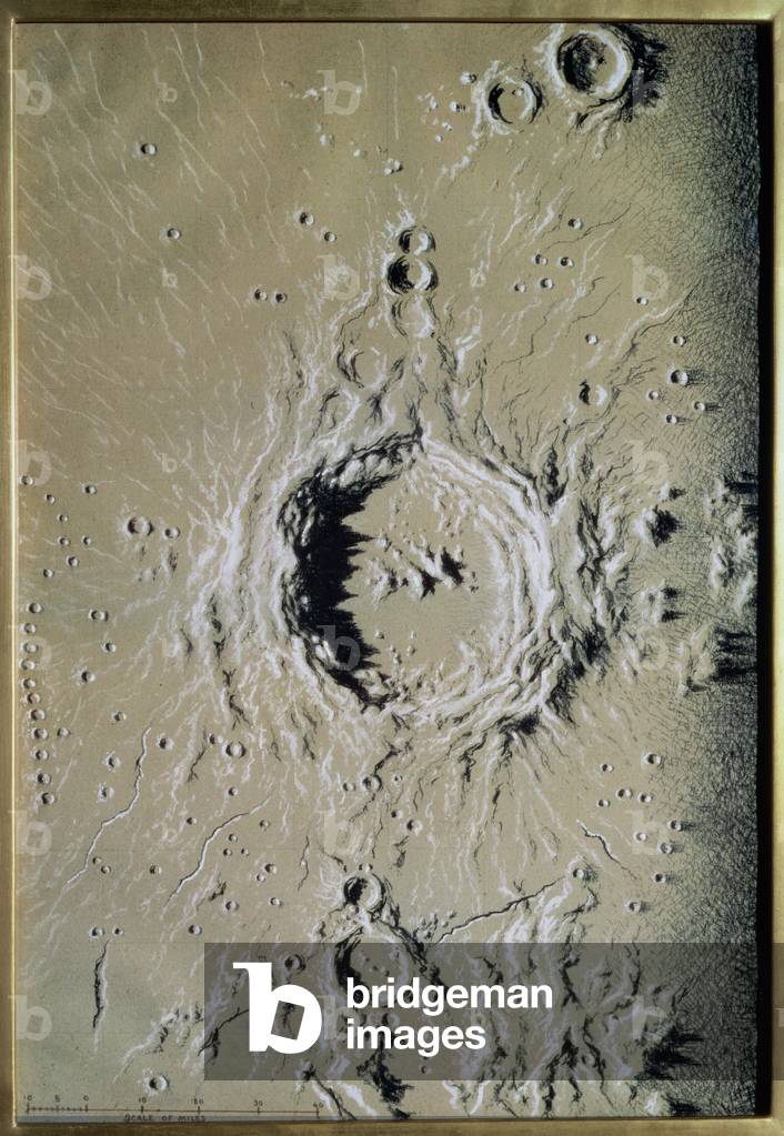 Copernicus (chalk on tinted paper)
