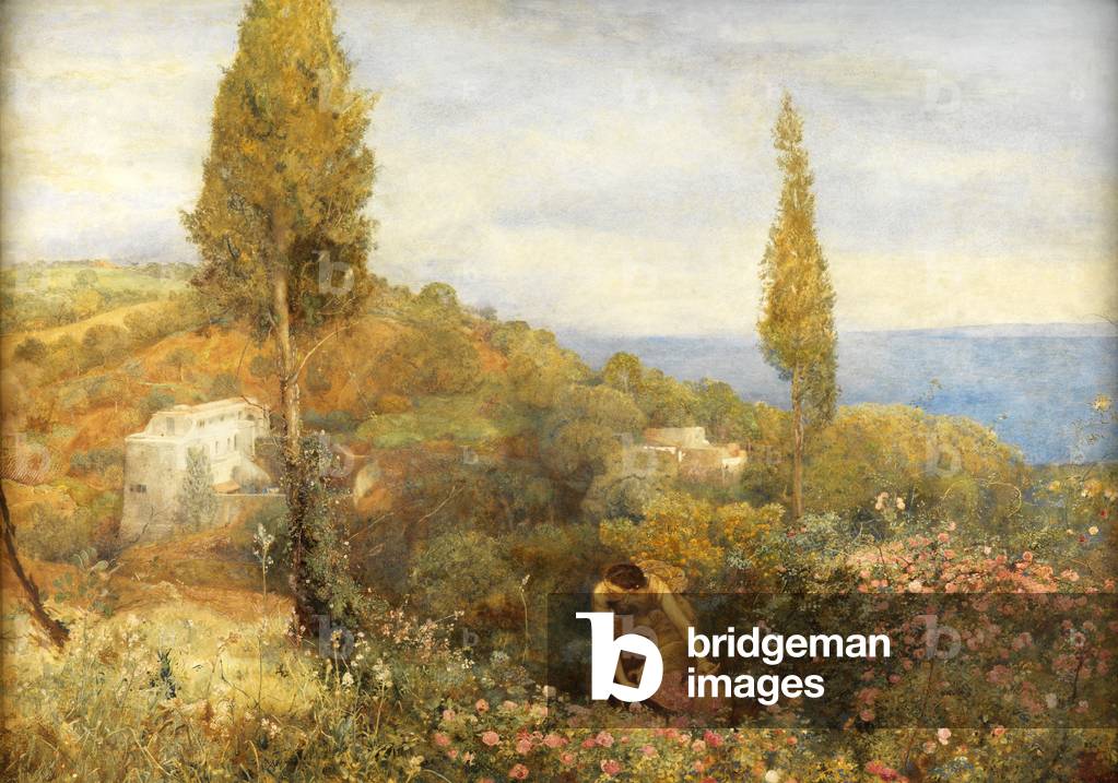 Roses, Asphodel, and Cypress - Algeria (w/c on paper)