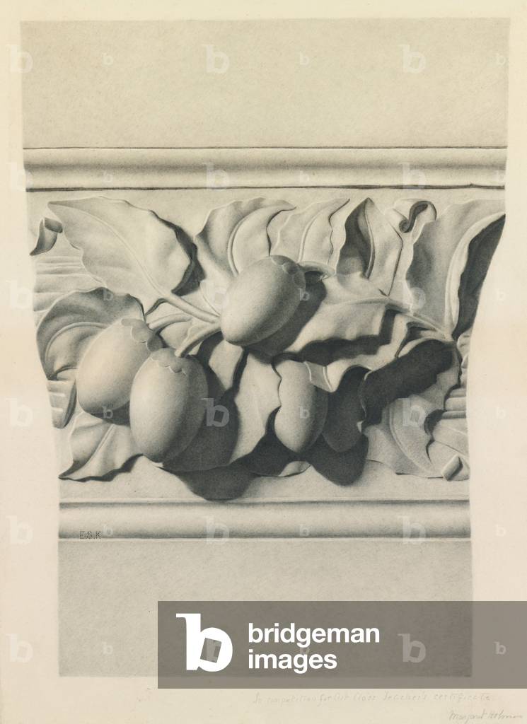 Five Studies of Form, 1888 (pencil on paper)
