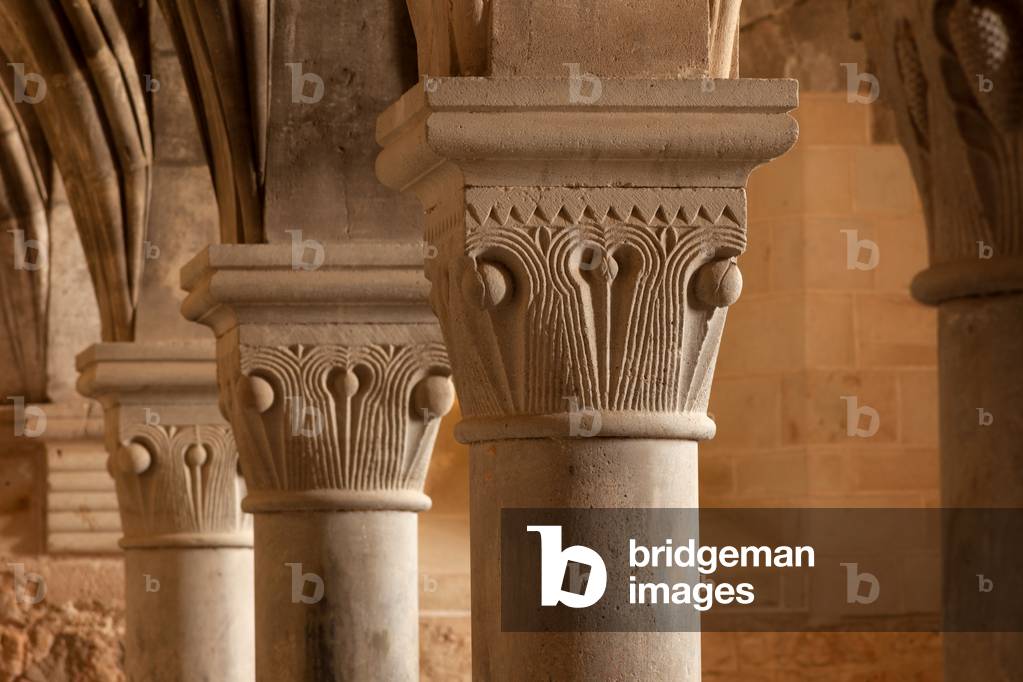Monasterio de Santa María de Huerta, Santa María de Huerta, Castilla y León, Soria, Spain