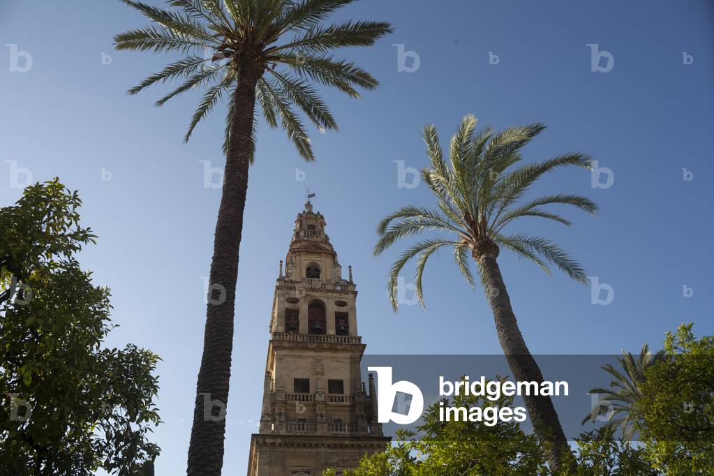 Mezquita-Catedral, Córdoba, Andalucía, Córdoba, Spain (photo)