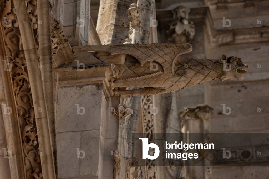 Cathedral (Cathédrale Notre-Dame). Gothic. Exterior. Gargoyle.