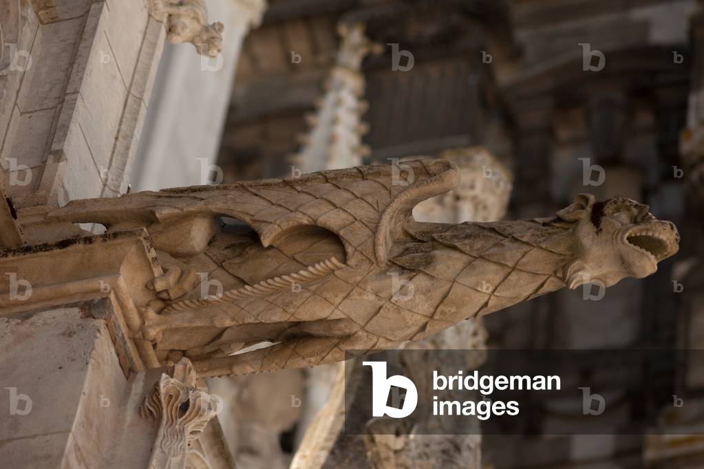 Cathedral (Cathédrale Notre-Dame). Gothic. Exterior. Gargoyle.