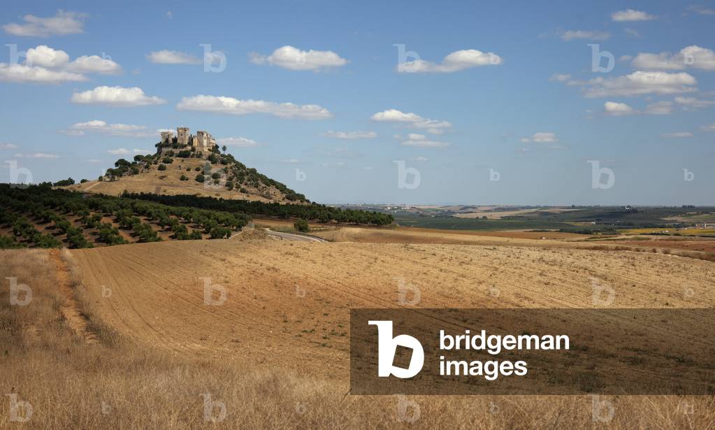Castillo de Almodóvar del Río, Córdoba, Andalucía, Spain (photo)