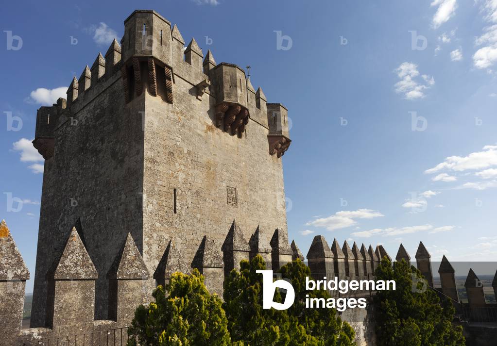 Torre del Homenaje, Castillo de Almodóvar del Río, Córdoba, Andalucía, Spain (photo)
