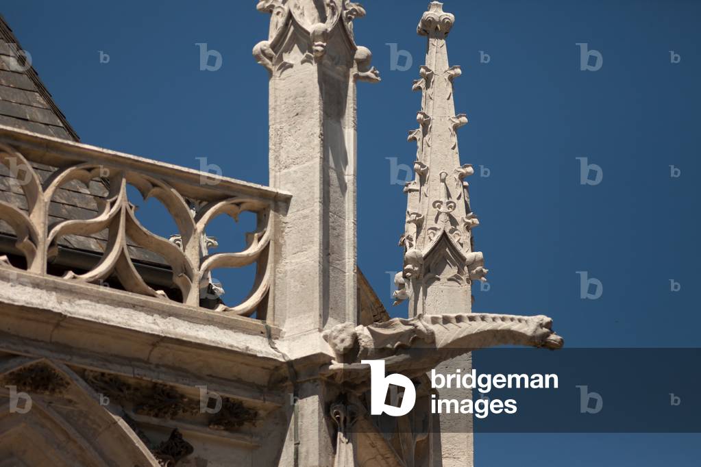 Cathedral (Cathédrale Notre-Dame). Gothic. Exterior. Gargoyle.